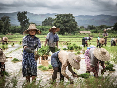 ND-GAIN Updates Climate Adaptation Index: Good News for Myanmar, Bad News for Brazil